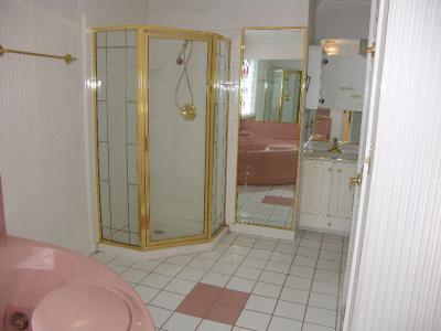 Master bathroom shower and vanity in the corner