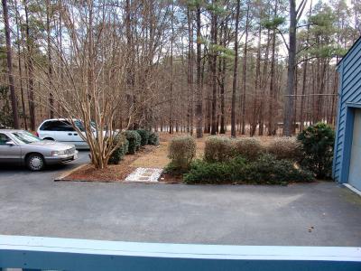 Yard ard and parking pad from the front porch
