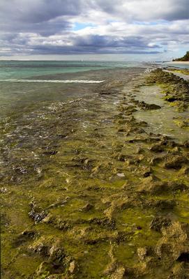 Mauritius Beach