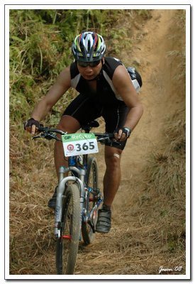 Lamma-143.jpg
