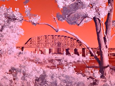 Infrared photos