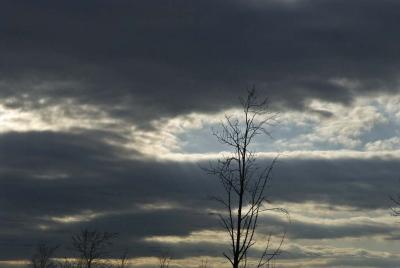 Spring Sky