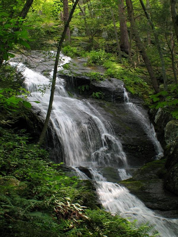 Buttermilk Falls, Stokes State Forest