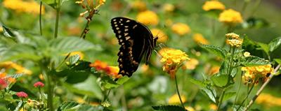 g3/69/447869/3/55280230.OBXforPBaseCRW_6532_resize.jpg