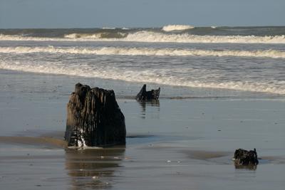 g3/69/447869/3/55280252.OBXforPBaseCRW_6828_RJtouched.jpg