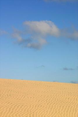 g3/69/447869/3/55280253.OBXforPBaseCRW_6837_resize.jpg