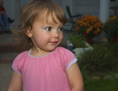 g3/69/447869/3/55341751.moreCRW_1505resize.jpg