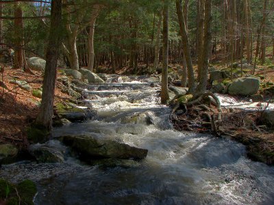 East Fever Brook, Petersham, MA