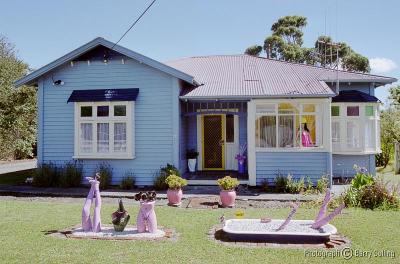 Kiwi house 2 Sanson.jpg