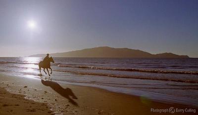 horse on beach.jpg