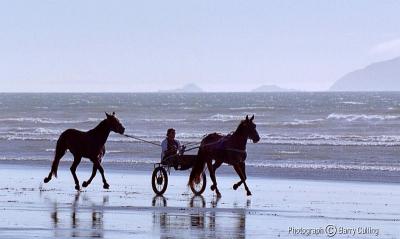 horses on beach.jpg