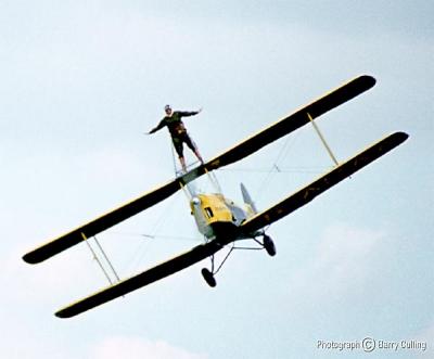 ? Triplane.jpg