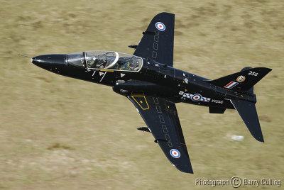 hawk 1.jpg