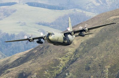 Herc 2.jpg