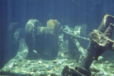 t07s025_Saphona Wreck, Bahamas, Aug 1982.jpg