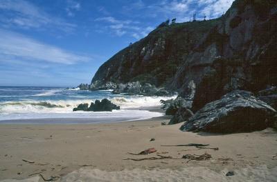 t35s056_Beach, Chile, Apr 1992.jpg