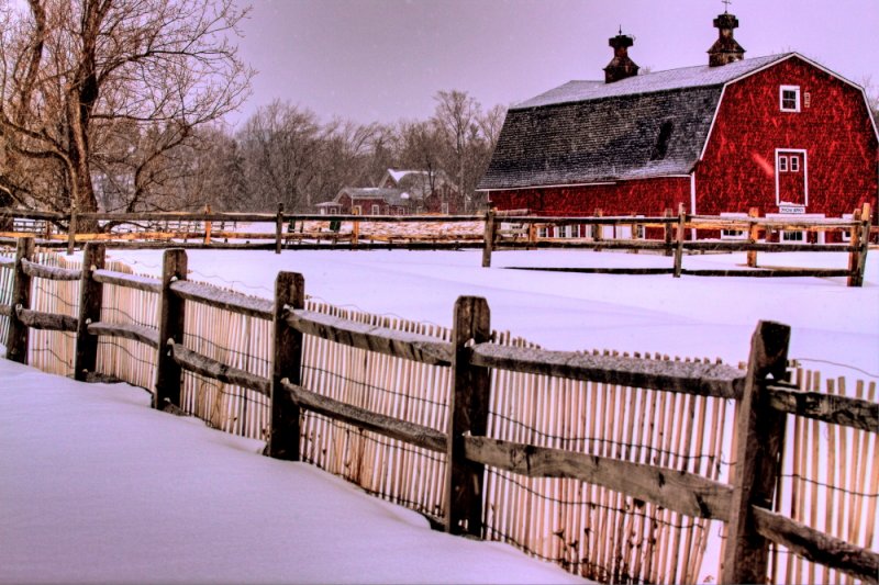 Knox Farm Snow Fence 8:59 AM