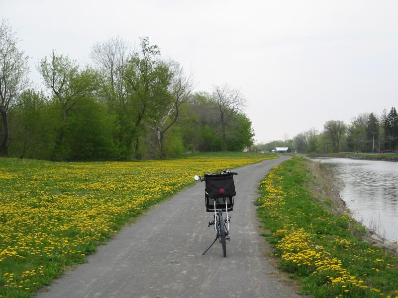 Erie Canal Path