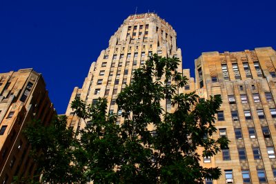 City Hall From The Woods