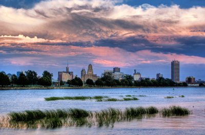 Buffalo From The Breakwall