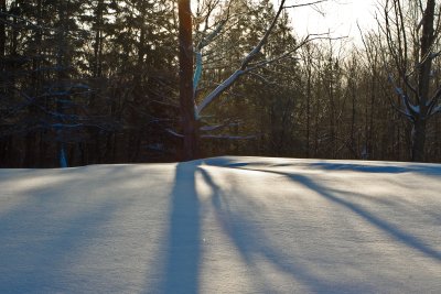 Shadows On A Winter Morn