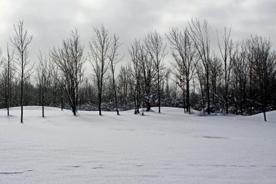 Phil's and Callie's  House In Winter (Tri-Hill Acres)