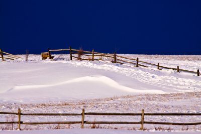 Knox Farm Bench On Hill 8:38 AM