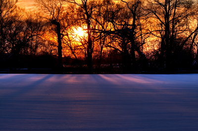 Lavender Light On The Snow