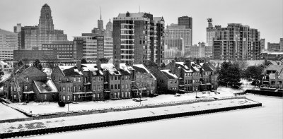 Buffalo In A Little Snow Black and White