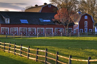 Springtime On The Farm