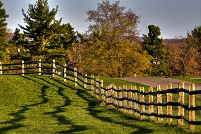 The Fence Row