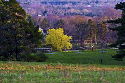  A Look Over The Valley