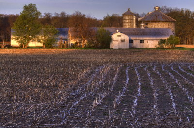 Sunshine On The Farm