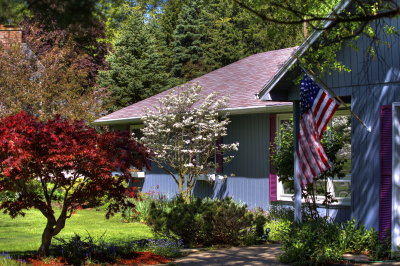 Our Front Walk In Springtime