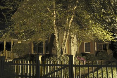 The Cottage At Night