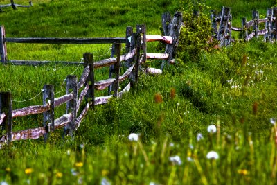 Walking The Fence Line At Knox