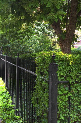 Fence On Wesley Pl