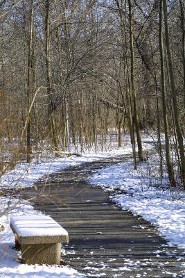 Charles Burchfield Preserve