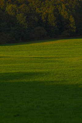 Davis - Jewett Holmwood Field