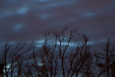 Backyard Night Sky