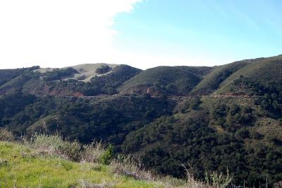 Cuesta Grade, San Luis Obispo CA