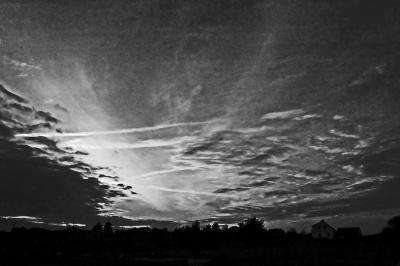 Morning gray