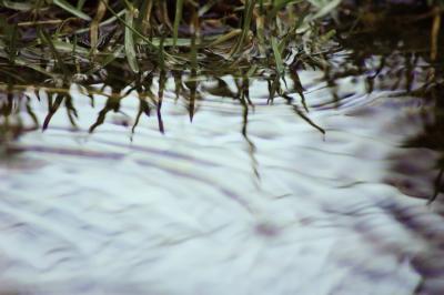 g3/69/543869/3/58644223.Water01.jpg