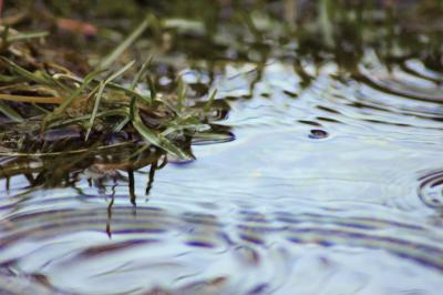 g3/69/543869/3/58644225.Water02.jpg