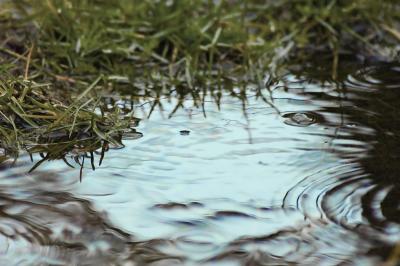 g3/69/543869/3/58644227.Water03.jpg