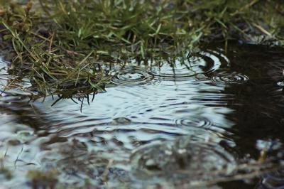 g3/69/543869/3/58644229.Water04.jpg