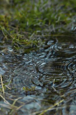 g3/69/543869/3/58644231.Water05.jpg