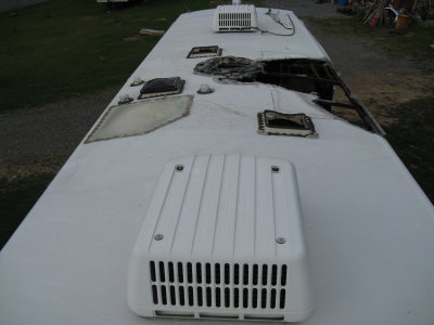 eagle8.JPG
