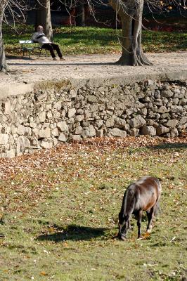 Descanso-02