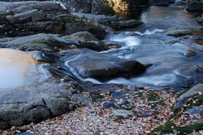 g3/69/576069/3/54239829.DSC_2029.jpg